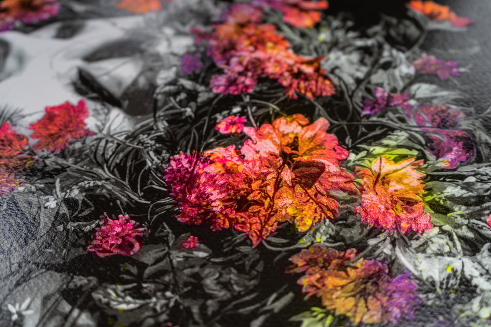 Image of Morning Lights - Summer Pulse