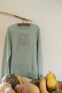 Image 1 of sudadera MICELIO