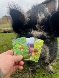 Image 1 of GIFT CARDS