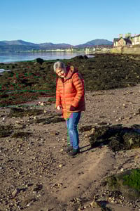 Image 10 of Beach Hings