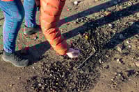 Image 3 of Beach Hings