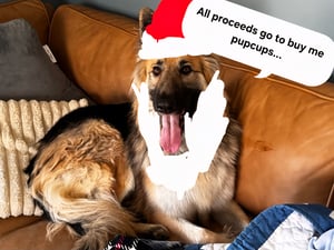 Image of Holiday Sale #3 - Black Guy Fawkes bundle