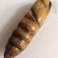 Image 3 of Hawkmoth Pupa - Wood Carving