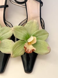 Image 3 of sample orchid shoe clips
