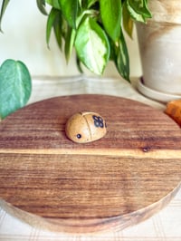 Image 1 of Flower Doodle Beetle