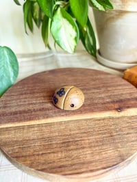 Image 2 of Flower Doodle Beetle