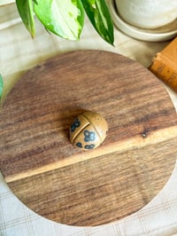 Image 3 of Flower Doodle Beetle