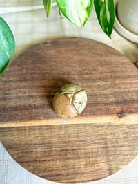 Image 3 of Birch Beetle