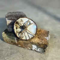 Image 1 of little Dish