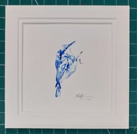 Image 1 of Nuthatch, original blue ink drawing