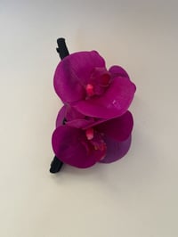 Image 1 of sample xl purple phalaenopsis claw