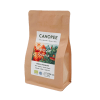 Image 2 of MEXIQUE | Chiapas