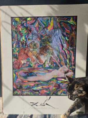 Image of Pomegranates, Tigers and guns, oh my!