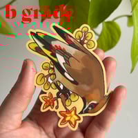 Image 3 of bohemian waxwing sticker