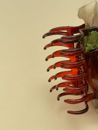 Image 3 of sample lady slipper orchid claw