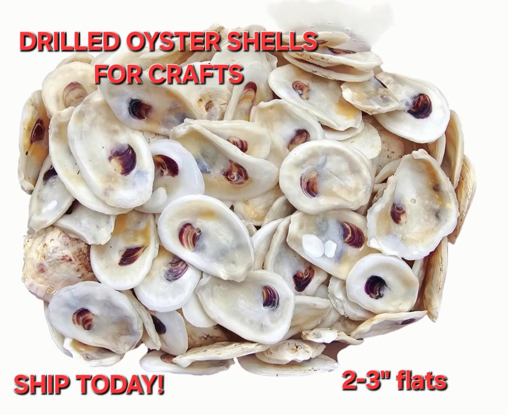 Image of Small Oyster Shells | Holes Drilled | Bulk | Decoupage Ornaments | DIY Bridesmaids | Favors | Pla...