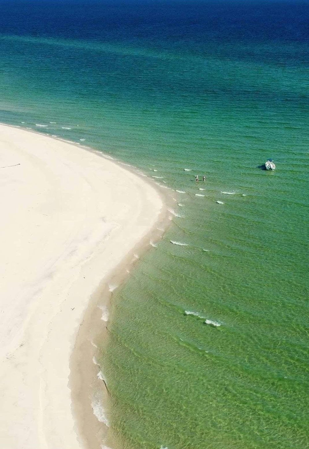 Image of 12 Days of Christmas Oyster Shell Ornaments: Hand-Picked Coastal Decor