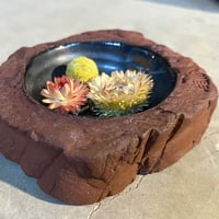 Image 1 of Herb dish 1