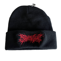 Embroidered Beanie *PREORDER*