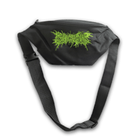 Embroidered fanny pack *PREORDER*