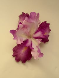 Image 1 of sample xl fuscia iris orchid claw