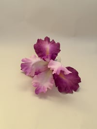 Image 2 of sample xl fuscia iris orchid claw
