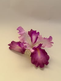 Image 3 of sample xl fuscia iris orchid claw