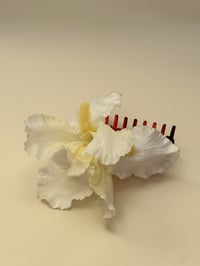 Image 2 of sample buttercup iris claw