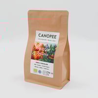 Image 1 of MEXIQUE | Chiapas