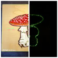 Image 1 of Amanita Glow