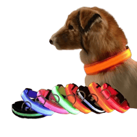 Image 1 of Light up collar 