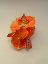 Image 1 of sample xl orange phalaenopsis orchid claw