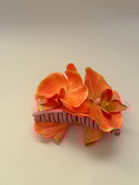 Image 2 of sample xl orange phalaenopsis orchid claw