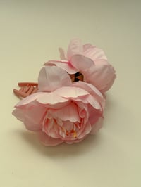 Image 1 of sample xl peony orchid claw