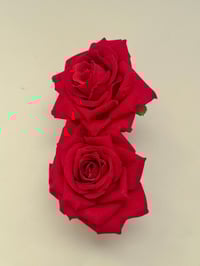Image 2 of sample double rose claw