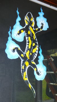 Image 4 of Fire Salamander