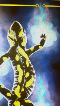 Image 3 of Fire Salamander - Photo Prints
