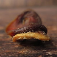 Image 2 of Groin de porc (100g)