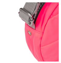 Image 14 of Paddington in Various Colors