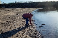 Image 4 of Beach Hings