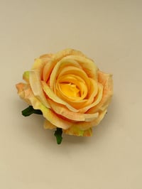 Image 2 of sample yellow rose clip