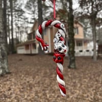 Image 1 of Candy cane S&P 