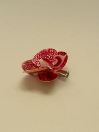 Image 1 of sample spotty orchid clip