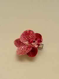 Image 2 of sample spotty orchid clip