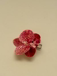 Image 3 of sample spotty orchid clip