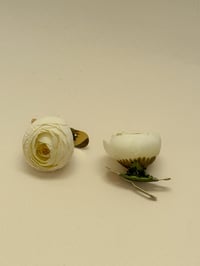 sample white ranunculus clip