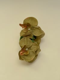 Image 1 of sample multi orchid claw