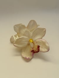 Image 1 of sample white cymbidium orchid claw