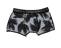 Image 1 of So It Crows Boxer Brief
