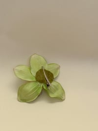 Image 2 of sample green cymbidium orchid clip